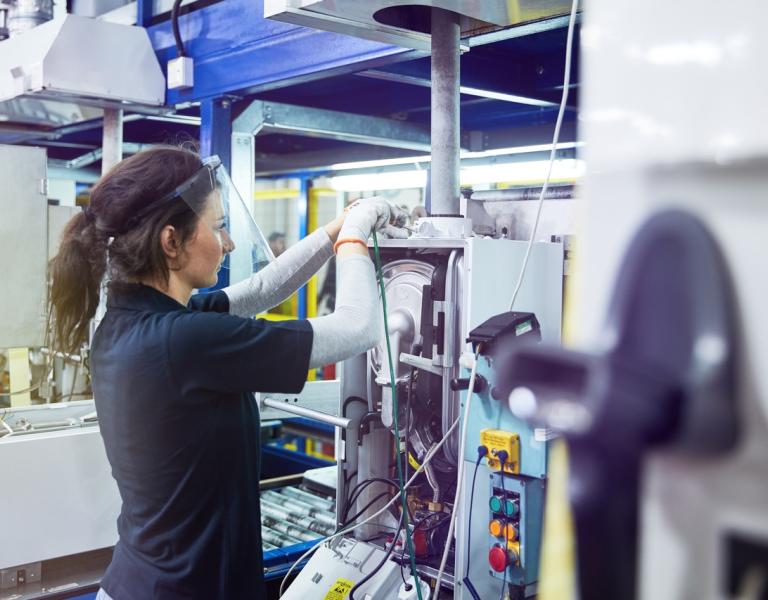 Sustainability Education Experience