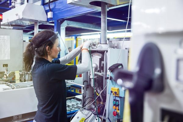 Sustainability Education Experience